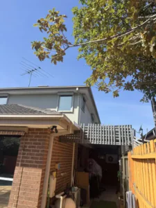 Side elevation of the rendered home, Endeavour Hills